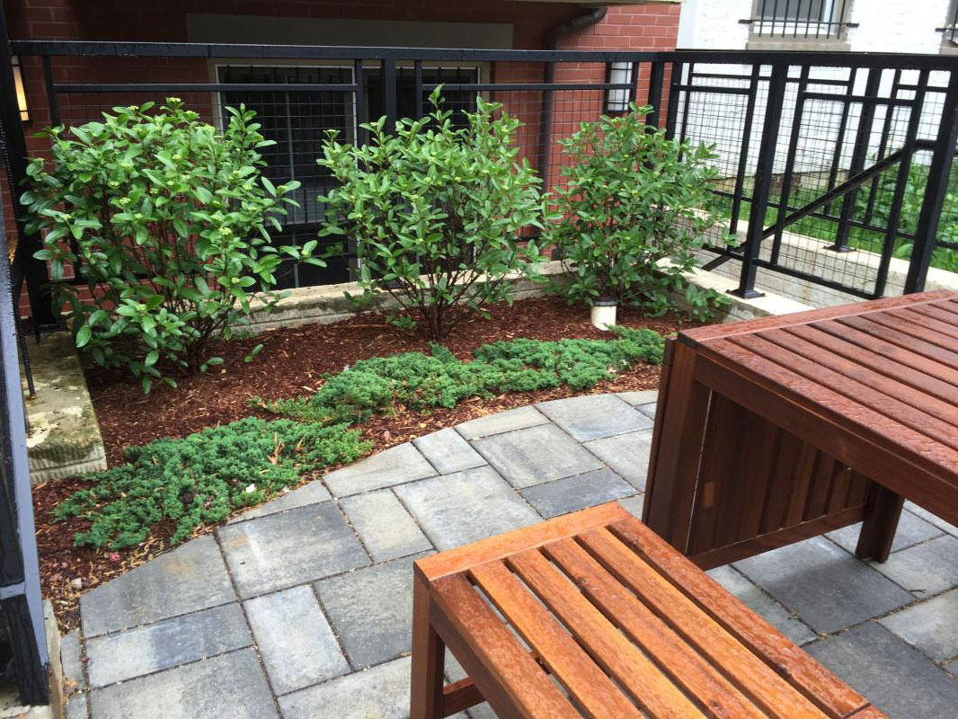 Simple plantings do not overwhelm the small space.
 : More Gardens and Garden Features : CITYSCAPES® Landscaping Inc.