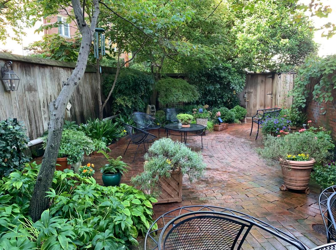 A different year with different color annuals for a change of pace. : Georgetown, Capitol Hill, and NW Gardens : CITYSCAPES® Landscaping LLC