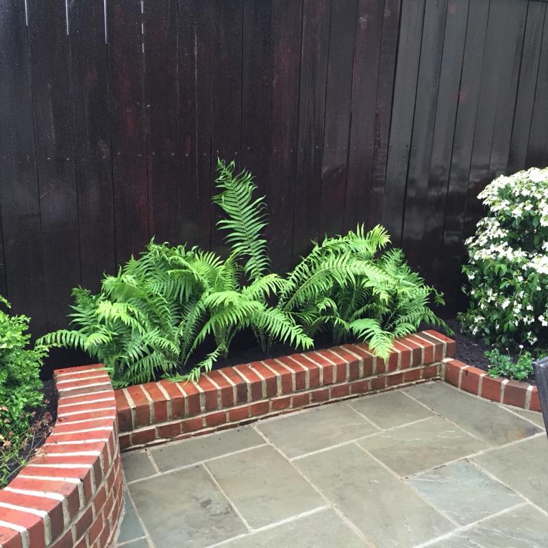 Different elevations of the raised beds creates more visual interest. : Georgetown, Capitol Hill, and NW Gardens : CITYSCAPES® Landscaping LLC