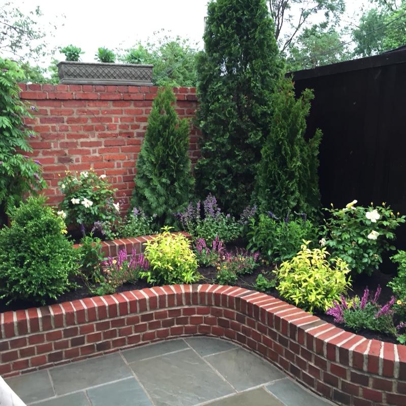 This Georgetown back yard is a flagstone patio with raised planter beds. : Georgetown, Capitol Hill, and NW Gardens : CITYSCAPES® Landscaping LLC