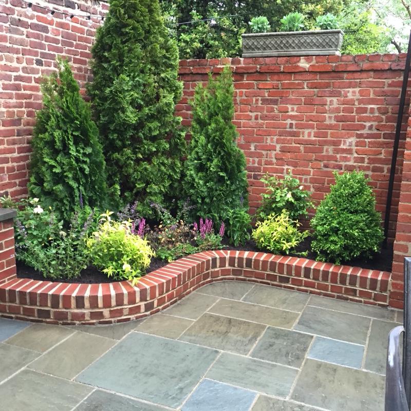 Layering plantings makes the best use of small beds and makes the beds seem larger. : Georgetown, Capitol Hill, and NW Gardens : CITYSCAPES® Landscaping LLC
