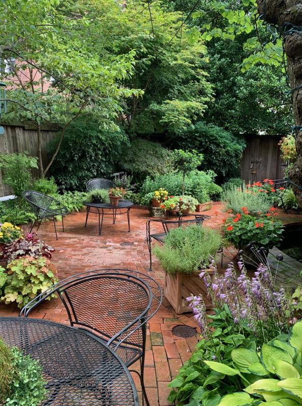 Visually striking plants of many textures and colors creates a garden tapestry. : Georgetown, Capitol Hill, and NW Gardens : CITYSCAPES® Landscaping LLC