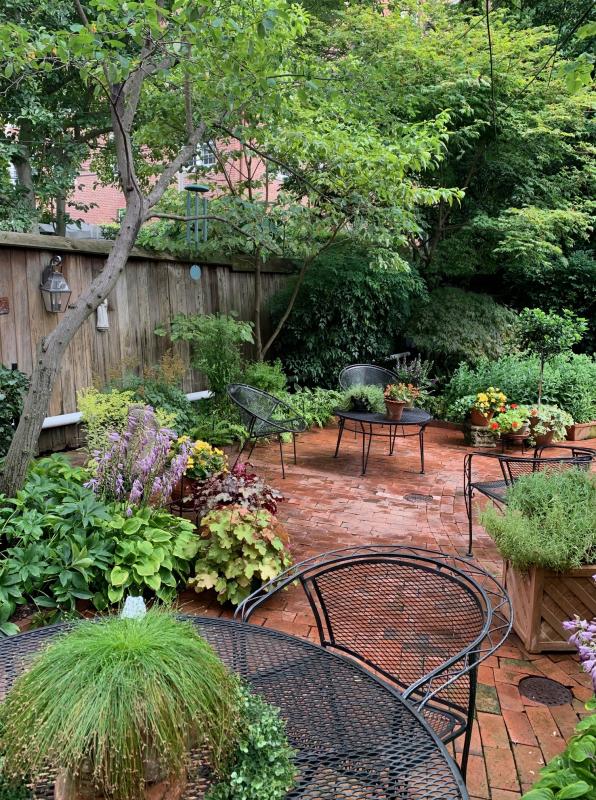 A lush and private NW garden welcomes guests to sit and enjoy. : Georgetown, Capitol Hill, and NW Gardens : CITYSCAPES® Landscaping LLC