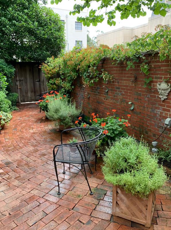 A beautiful view at every angle. : Georgetown, Capitol Hill, and NW Gardens : CITYSCAPES® Landscaping LLC