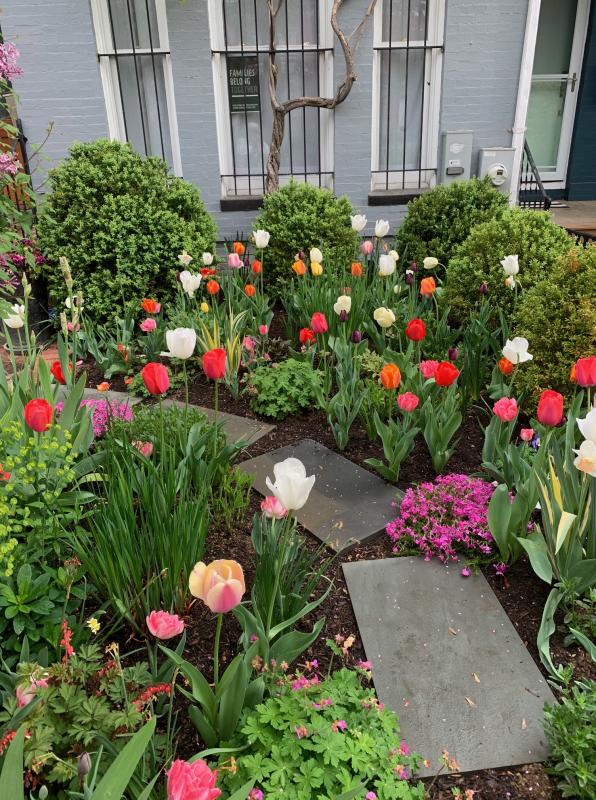Stepping stone path curves through the garden. : Featured Garden : CITYSCAPES® Landscaping LLC