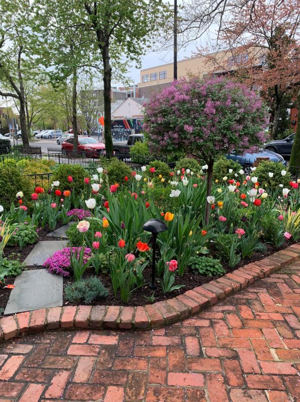 View towards the street. : Featured Garden : CITYSCAPES® Landscaping LLC