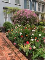 Coming home to a lovely garden.