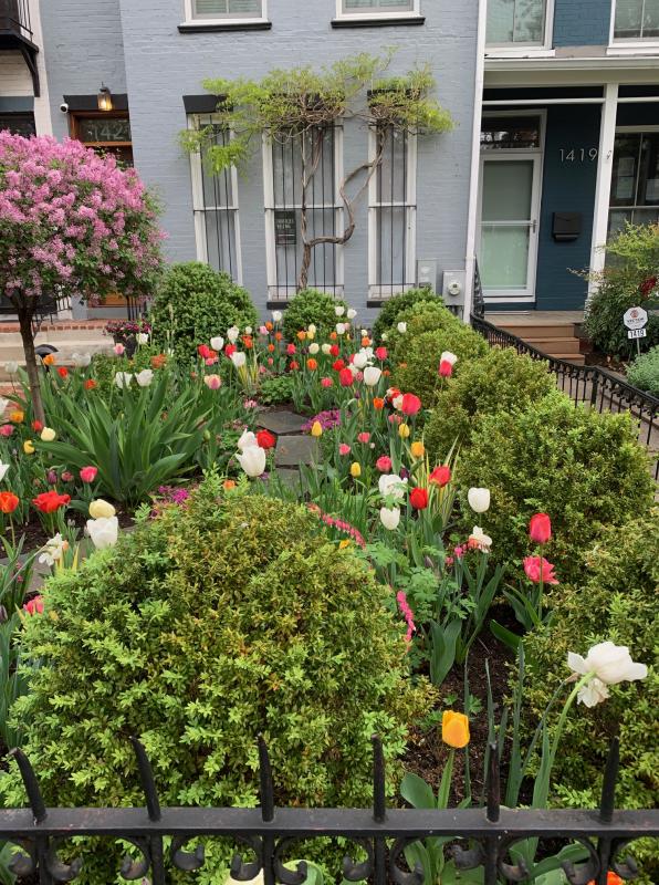 Front view from public sidewalk. : Featured Garden : CITYSCAPES® Landscaping LLC