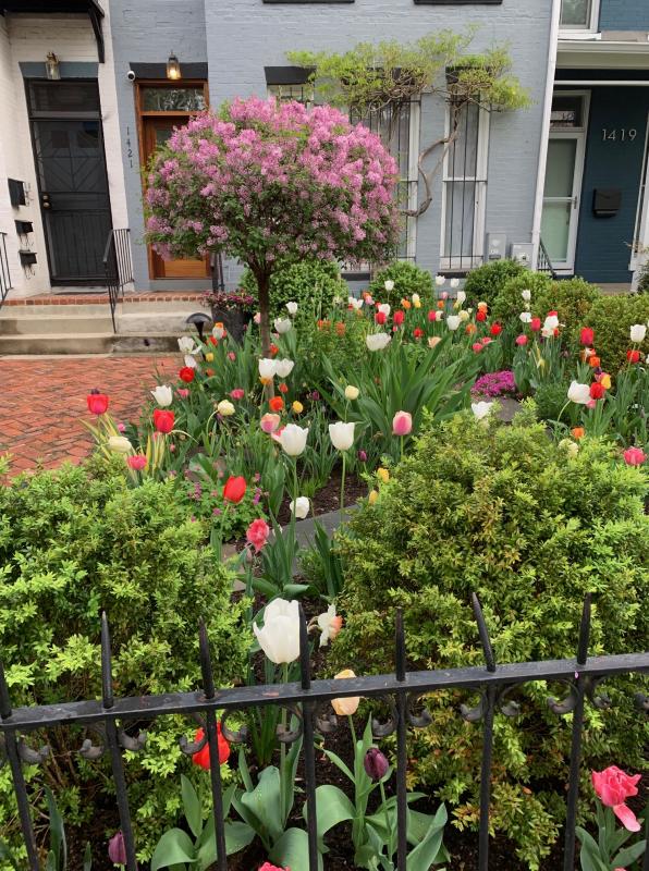 Side view from the public sidewalk. : Featured Garden : CITYSCAPES® Landscaping LLC