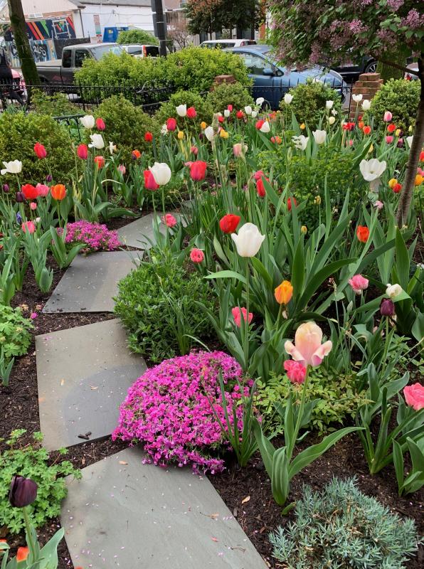 Stone path gives access to all parts of the garden. : Featured Garden : CITYSCAPES® Landscaping LLC
