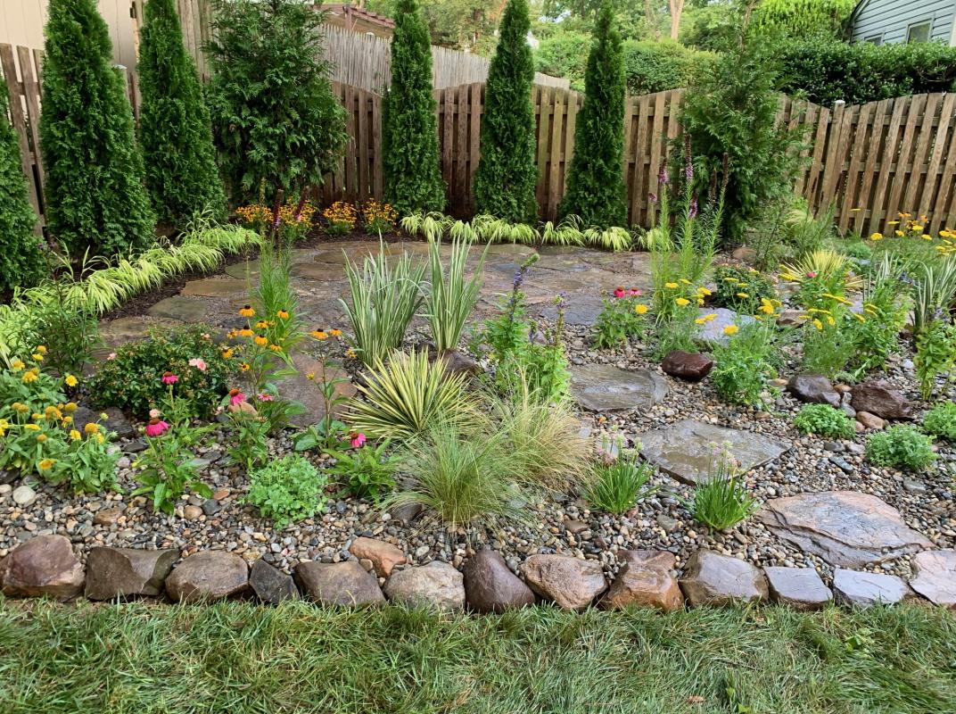 Screening of two types of Arborvitae replaces old bamboo. : Suburban Gardens : CITYSCAPES® Landscaping LLC