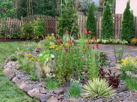 Use of native and non-native plants that are adaptive to wet and dry conditions.