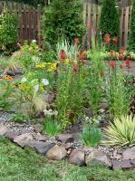 Variety of plants creates color through out spring, summer and fall.