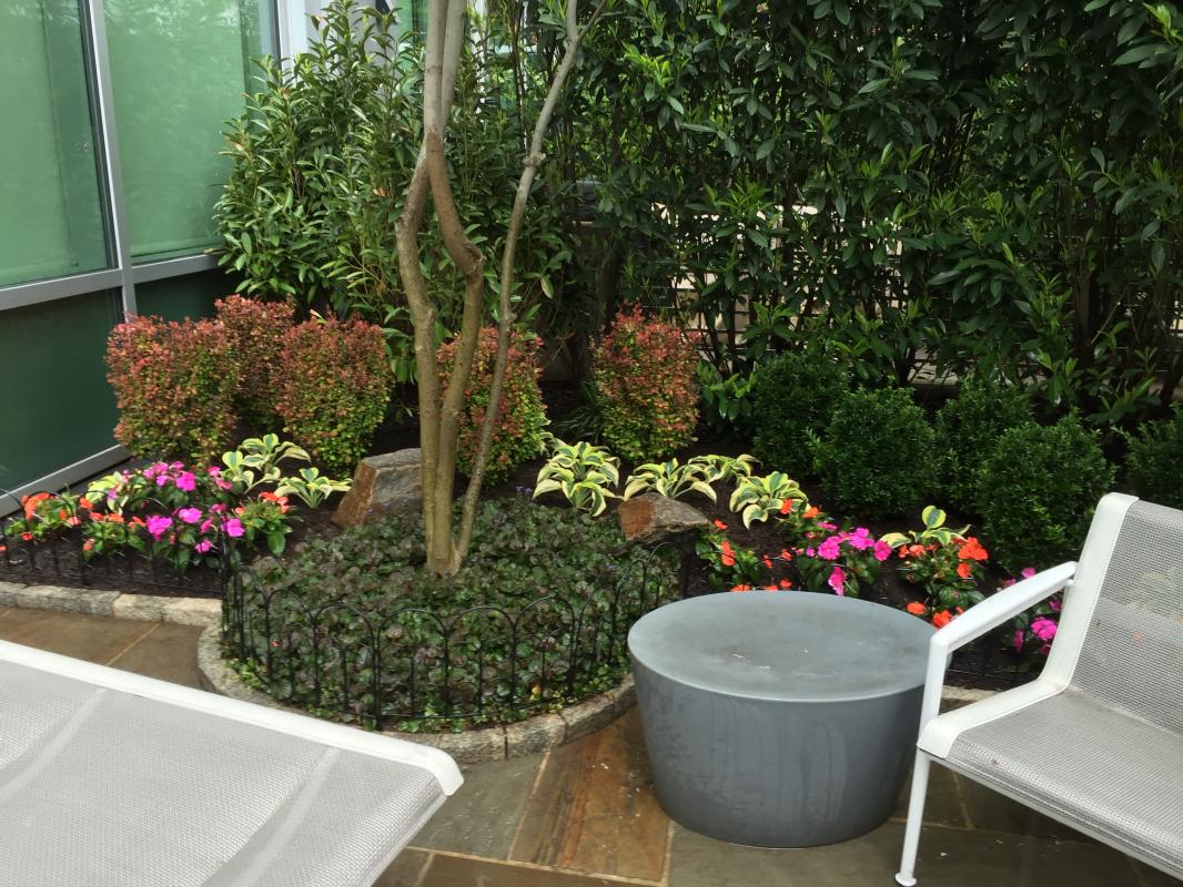 Pops of color brightens the space. : Front Gardens - Big and Small : CITYSCAPES® Landscaping LLC