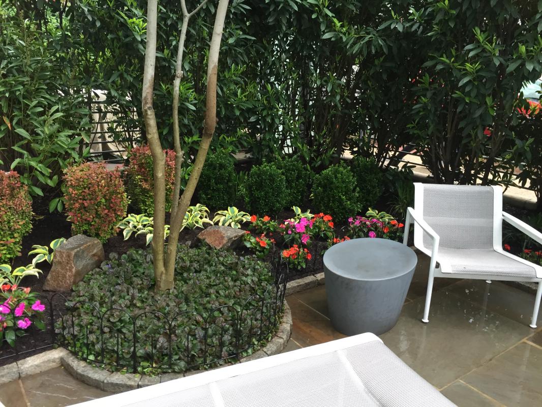 A small condo courtyard along a busy street is private thanks to large evergreen screening plants. : Front Gardens - Big and Small : CITYSCAPES® Landscaping LLC