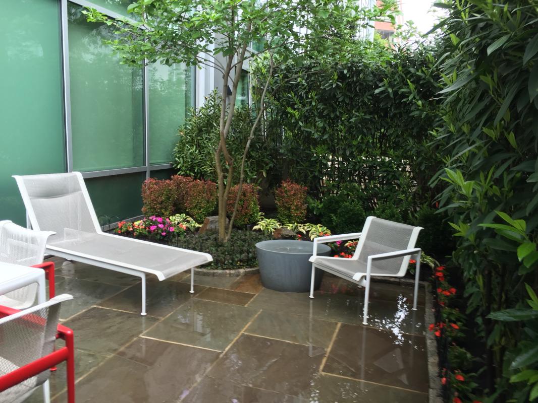 Full view of front pocket garden. : Front Gardens - Big and Small : CITYSCAPES® Landscaping LLC