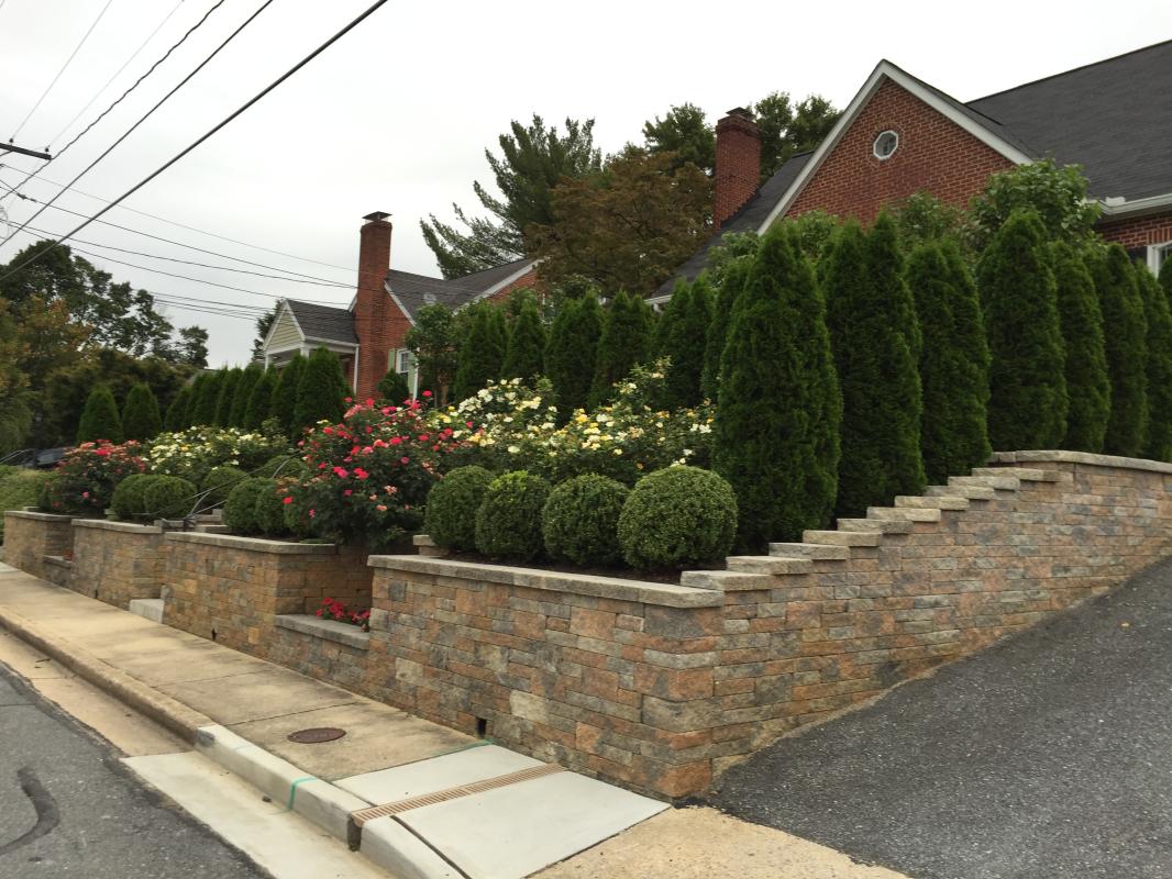 Side view along the driveway. : Suburban Gardens : CITYSCAPES® Landscaping LLC