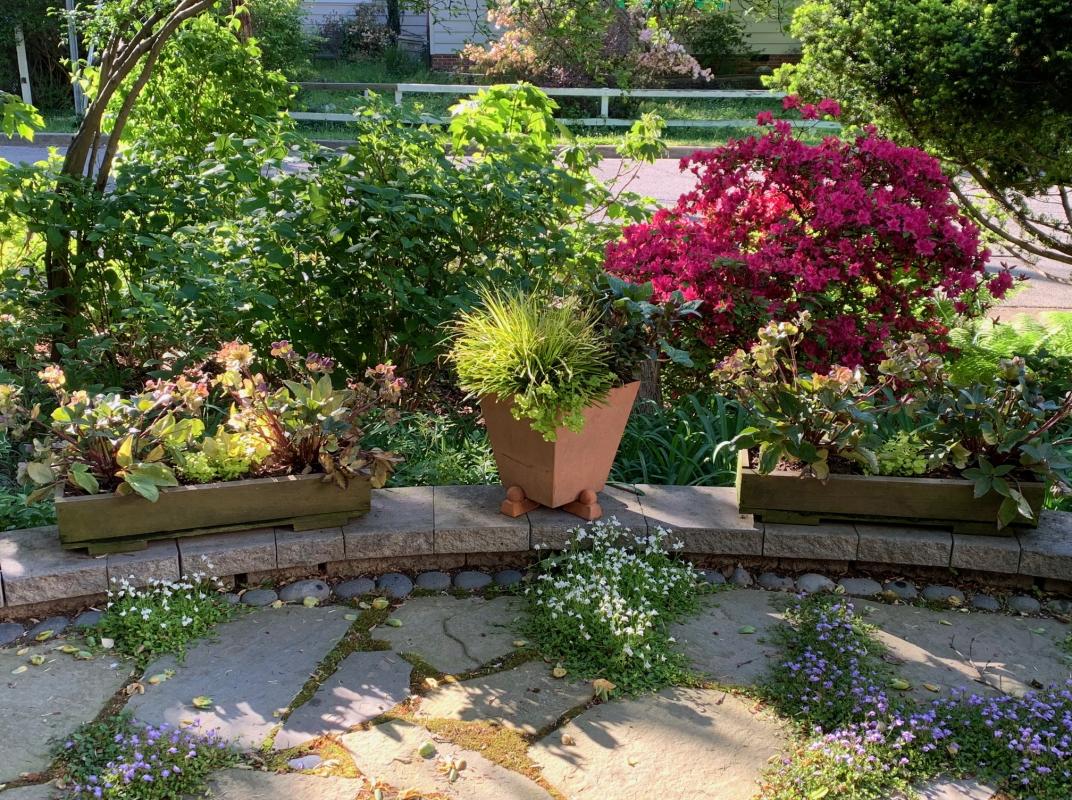 Walls are a great place to display planters. : Suburban Gardens : CITYSCAPES® Landscaping LLC