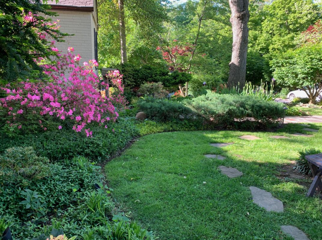 Naturalistic front garden in Takoma Park. : Suburban Gardens : CITYSCAPES® Landscaping LLC