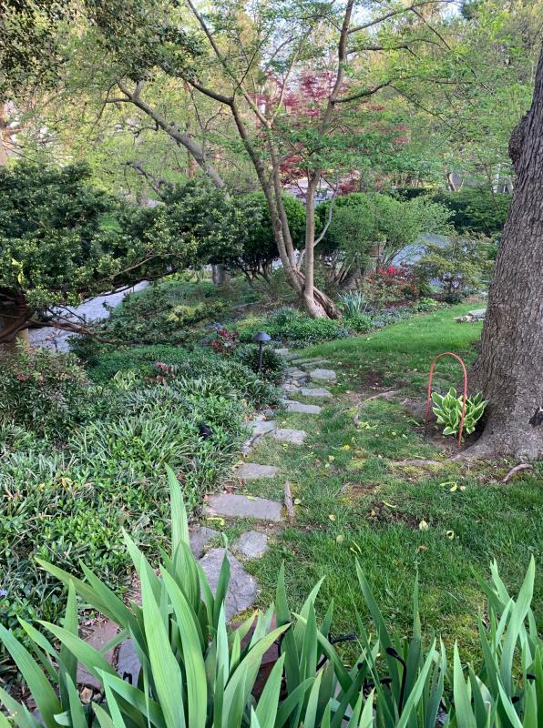 Using stone steps to navigate a hillside. : Suburban Gardens : CITYSCAPES® Landscaping LLC
