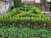 A formal parterre garden filled with spring annuals.