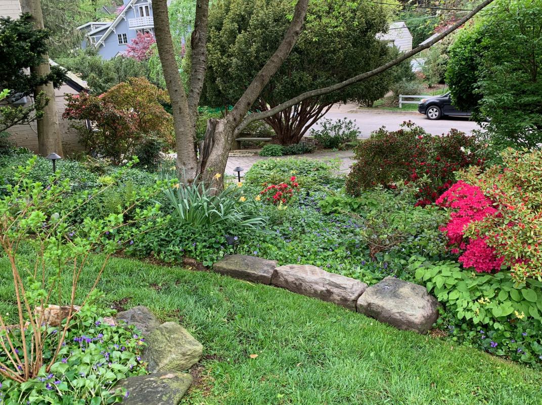 Many elevations through out this yard. : Suburban Gardens : CITYSCAPES® Landscaping LLC