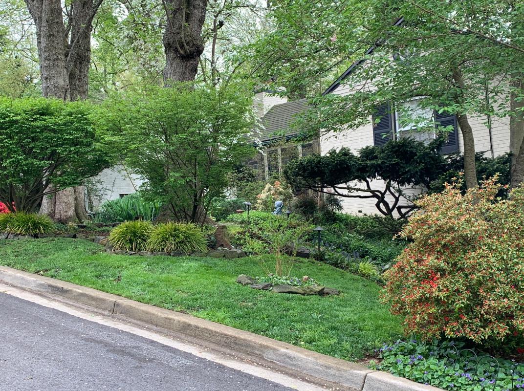 Shady and lush. : Suburban Gardens : CITYSCAPES® Landscaping LLC