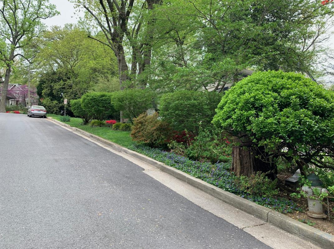 View from the street. : Suburban Gardens : CITYSCAPES® Landscaping LLC
