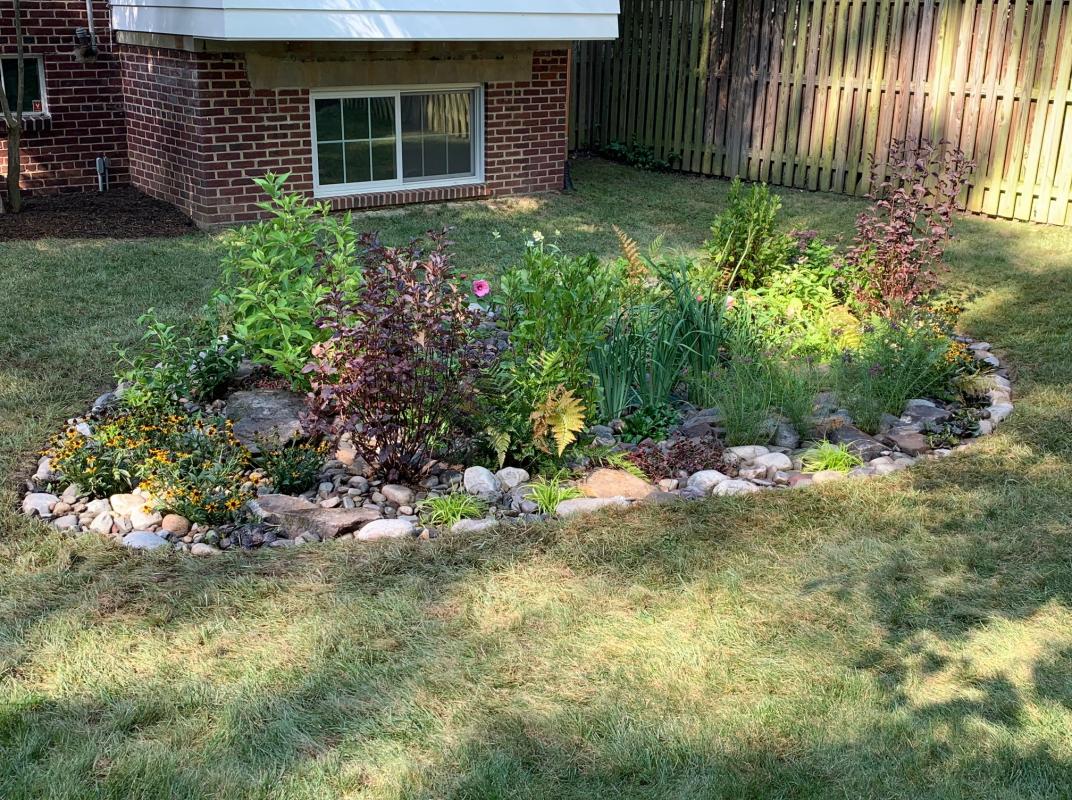 Year round color and texture is achieved from the flowers as well as the foliage and stones. : Georgetown, Capitol Hill, and NW Gardens : CITYSCAPES® Landscaping LLC