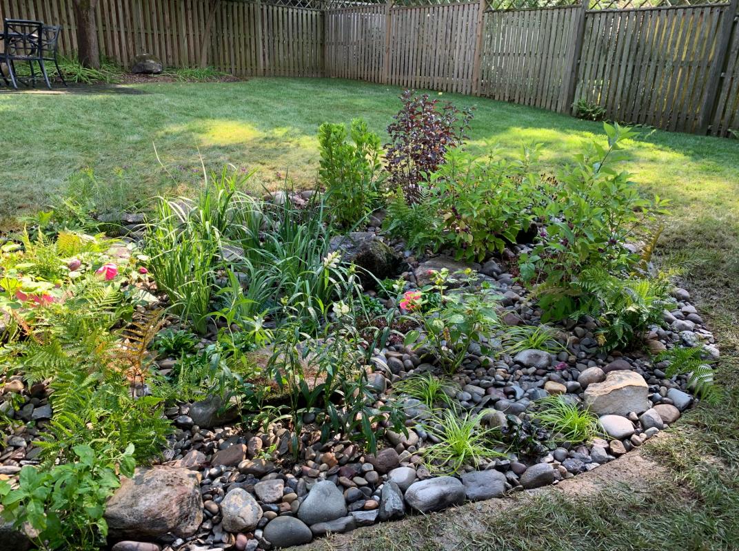Delaware river stone and PA wall stone anchors the soil. : Georgetown, Capitol Hill, and NW Gardens : CITYSCAPES® Landscaping LLC