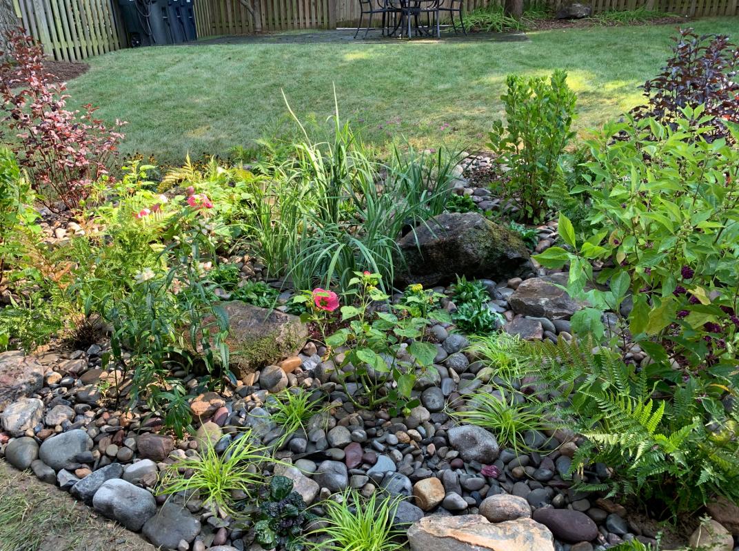A mix of mostly native species, which do well in moist locations. : Georgetown, Capitol Hill, and NW Gardens : CITYSCAPES® Landscaping LLC
