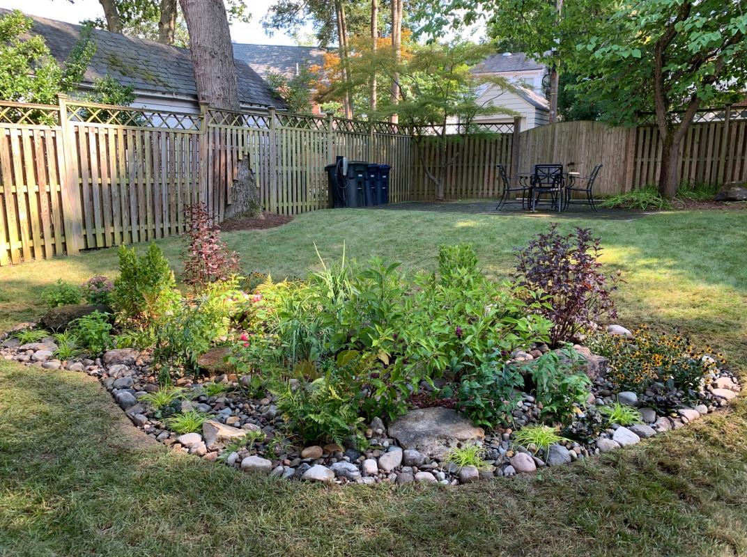 A newly installed rain garden solves a low and wet problem area in a NW back yard. : Georgetown, Capitol Hill, and NW Gardens : CITYSCAPES® Landscaping LLC