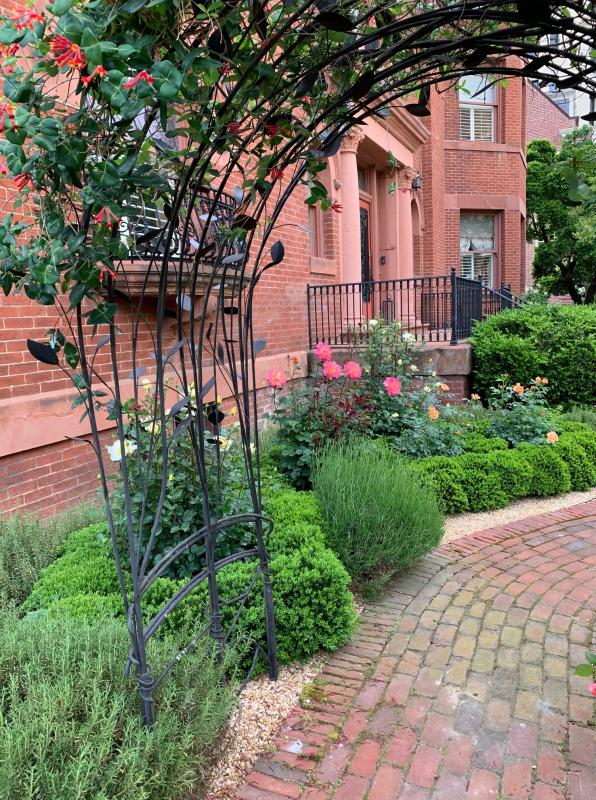 Training of hybrid honeysuckle on a trellis. : Maintenance : CITYSCAPES® Landscaping LLC