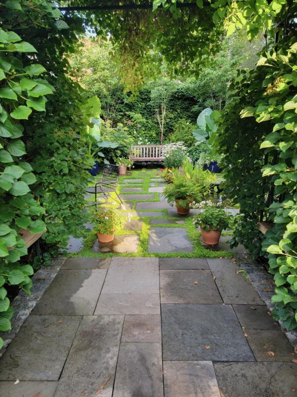 A "hidden" room beyond the trellis of flowering vines. : Georgetown, Capitol Hill, and NW Gardens : CITYSCAPES® Landscaping LLC